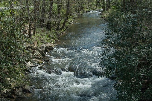 Fishing Western North Carolina: An Anglers Paradise